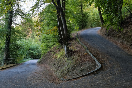 20260926_174423.jpg