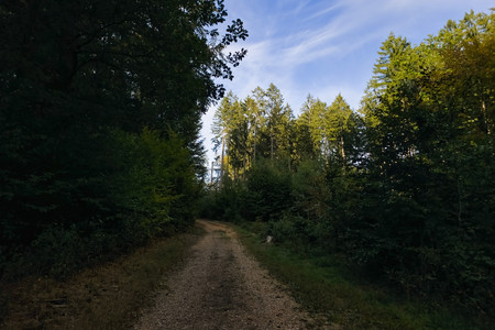 20260927_172629.jpg