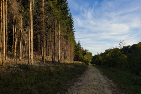 20260927_174115.jpg