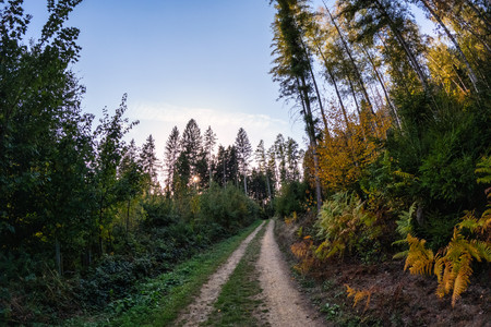 20260927_175736.jpg