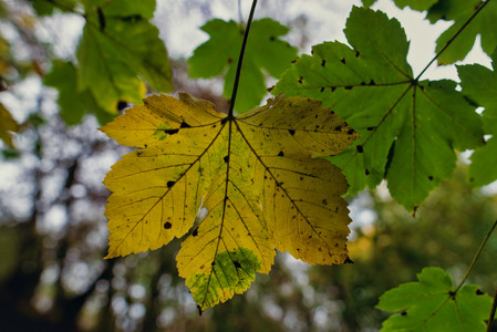 20260928_144659.jpg