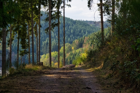 20260928_160659.jpg