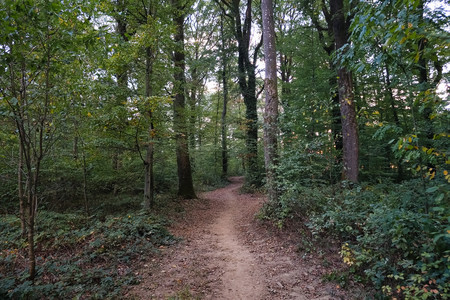 20260929_190409.jpg