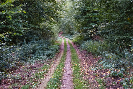 20260929_190740.jpg