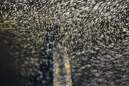 20261001_205923.jpg