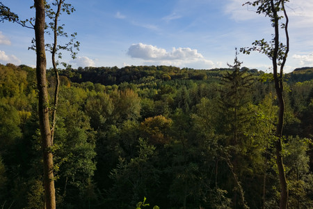 20261002_165855.jpg