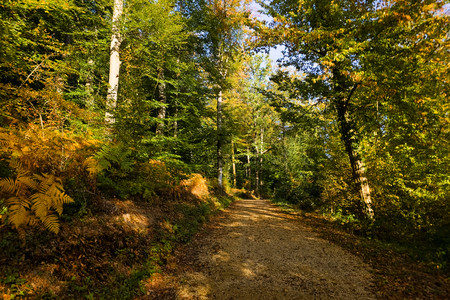 20261002_172605.jpg