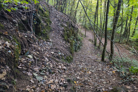 20261003_164554.jpg