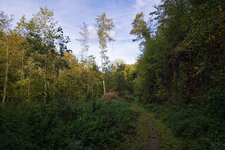 20261003_164850.jpg
