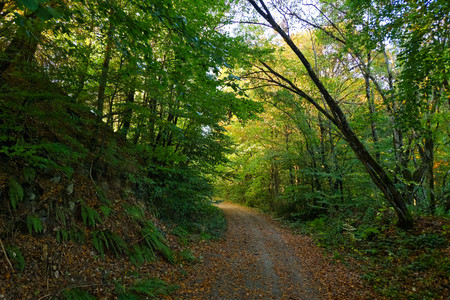 20261004_175016.jpg
