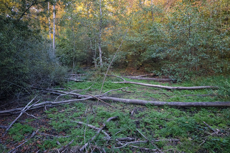 20261005_182431.jpg