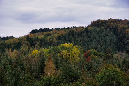 20261007_164703.jpg