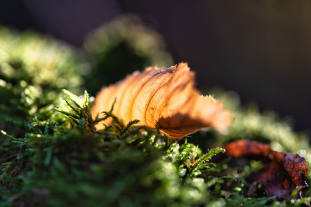 20261008_175253.jpg