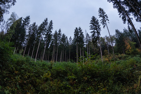 20261009_184700.jpg