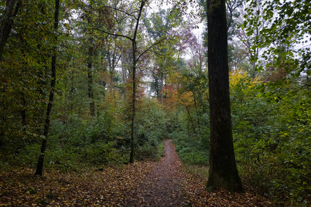 20261013_172817.jpg