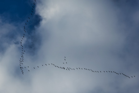 20261017_163323.jpg