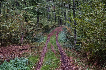 20261018_180841.jpg